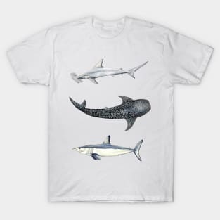 Shark trio: hammerhead shark, mako shark and whale shark T-Shirt